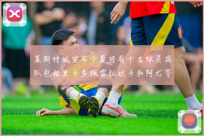莱斯特城宣布今夏将有十名球员离队包括里卡多佩雷拉达卡和阿尤等人
